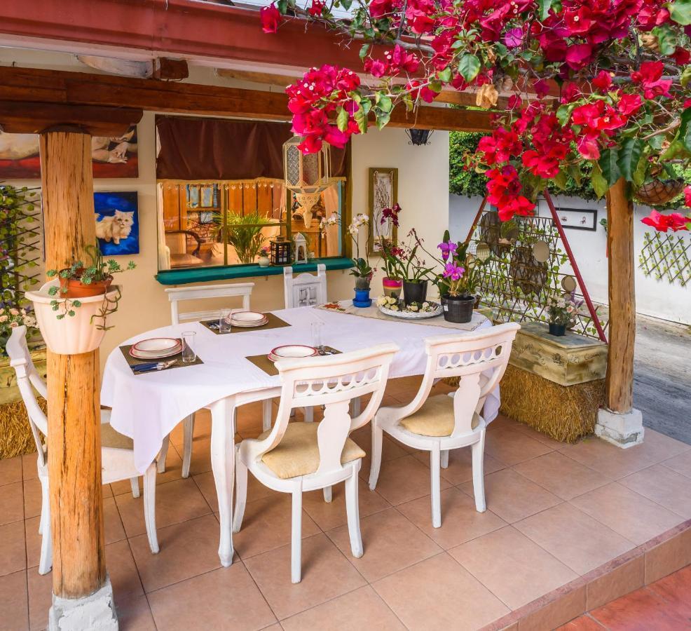 Casa Elalu *
